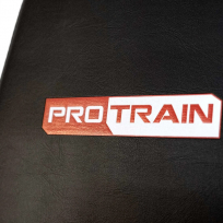 Многофункциональная силовая станция PROTRAIN HG10250
